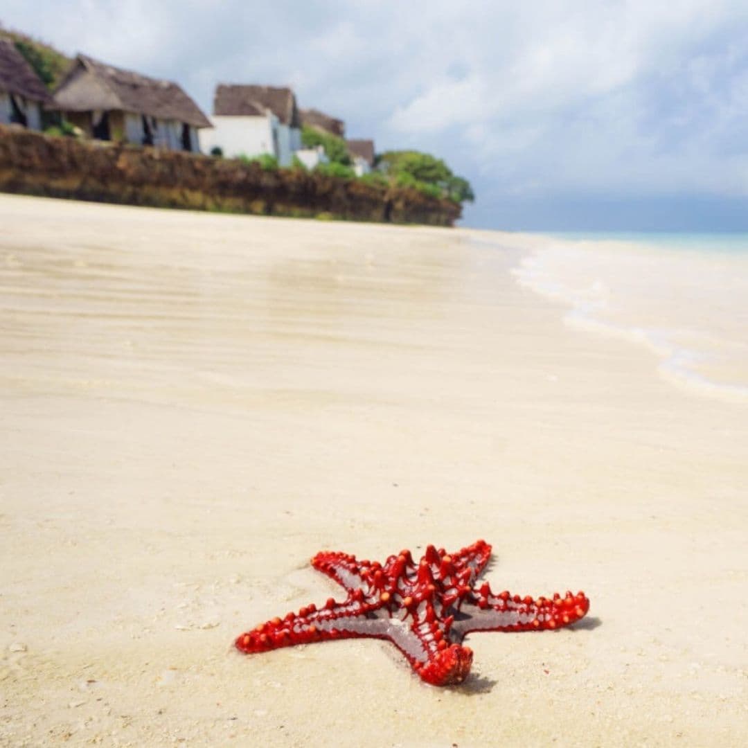 Travel description image