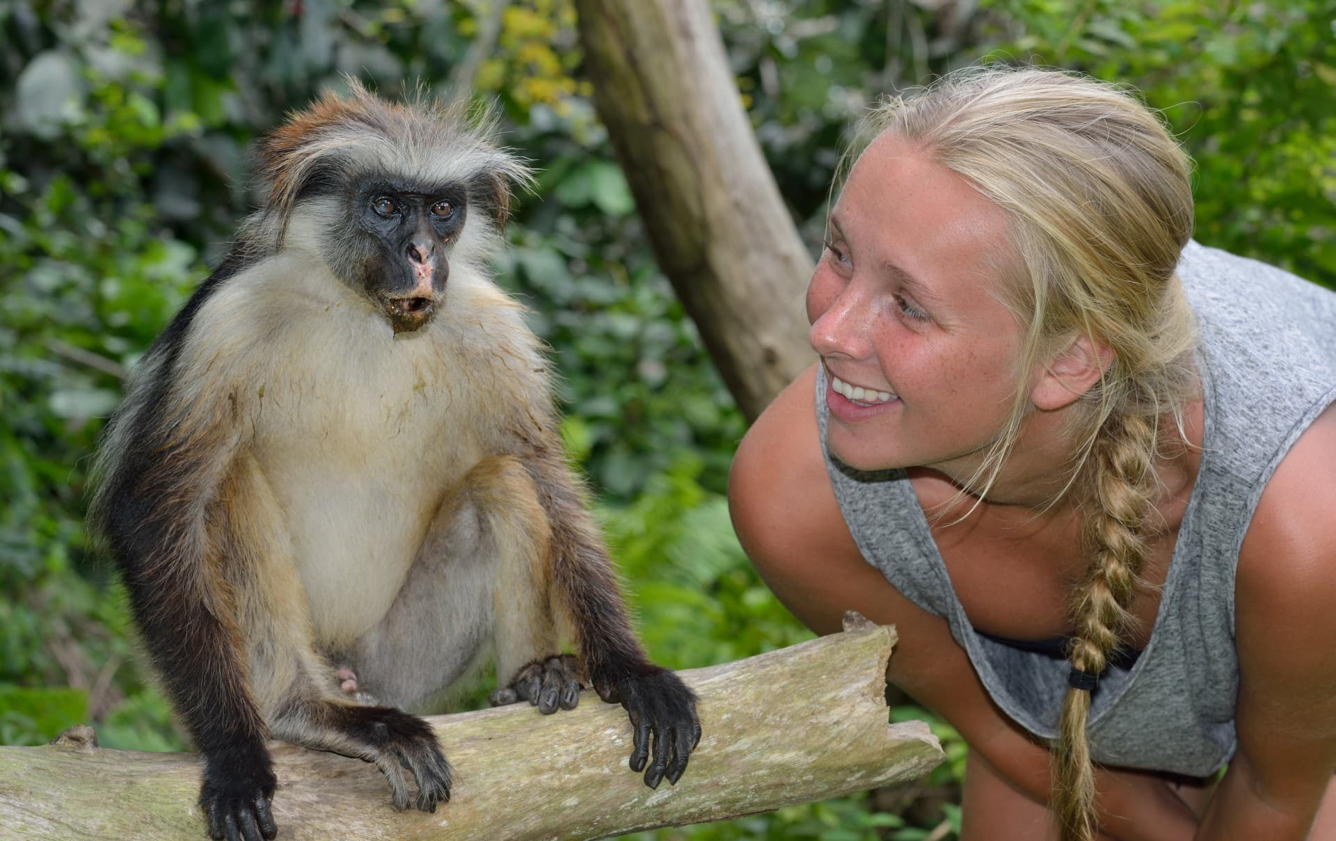 Travel description image